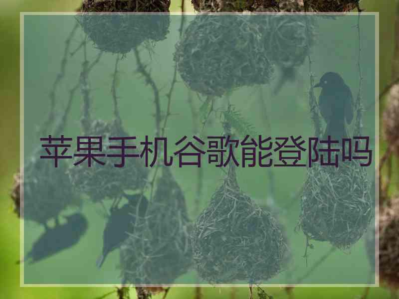 苹果手机谷歌能登陆吗