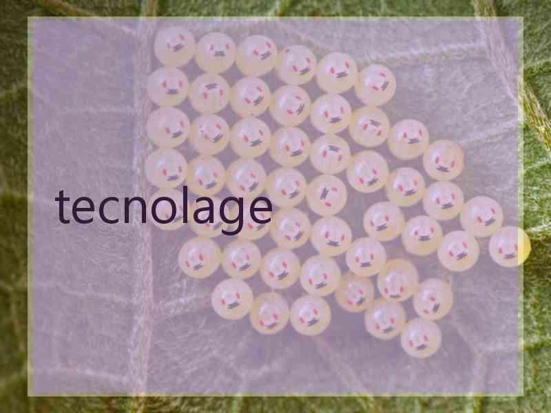 tecnolage