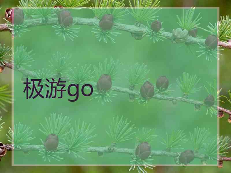 极游go