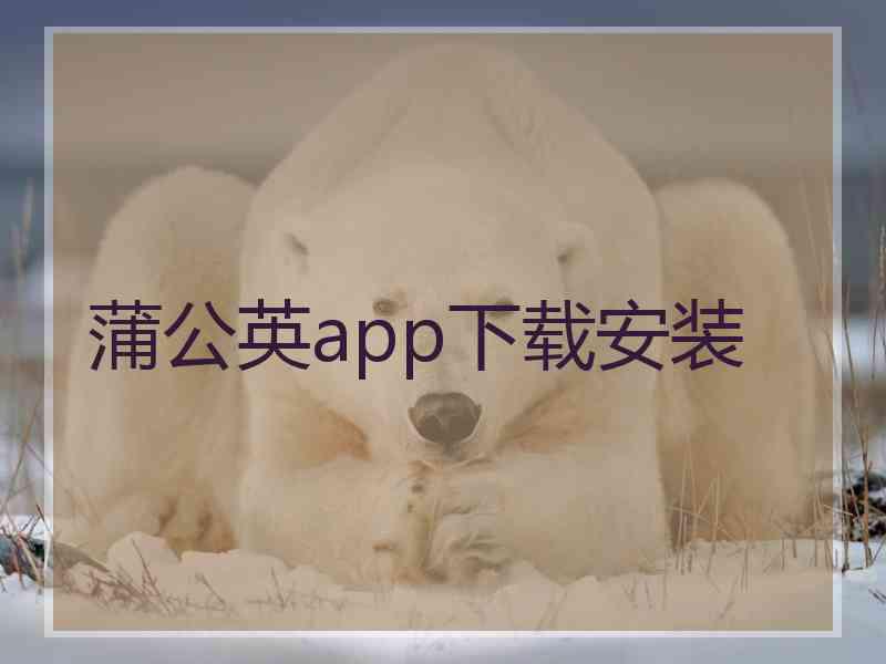 蒲公英app下载安装