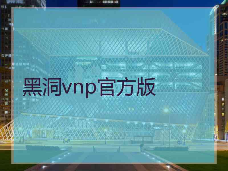 黑洞vnp官方版