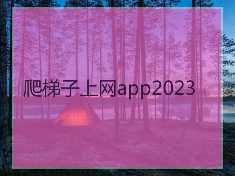 爬梯子上网app2023