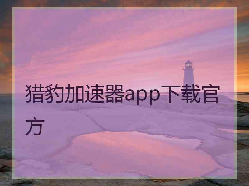 猎豹加速器app下载官方