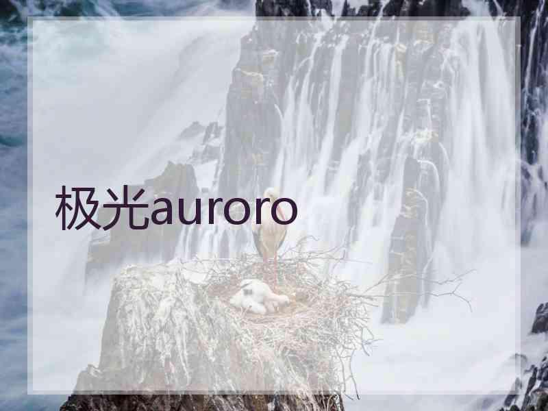 极光auroro