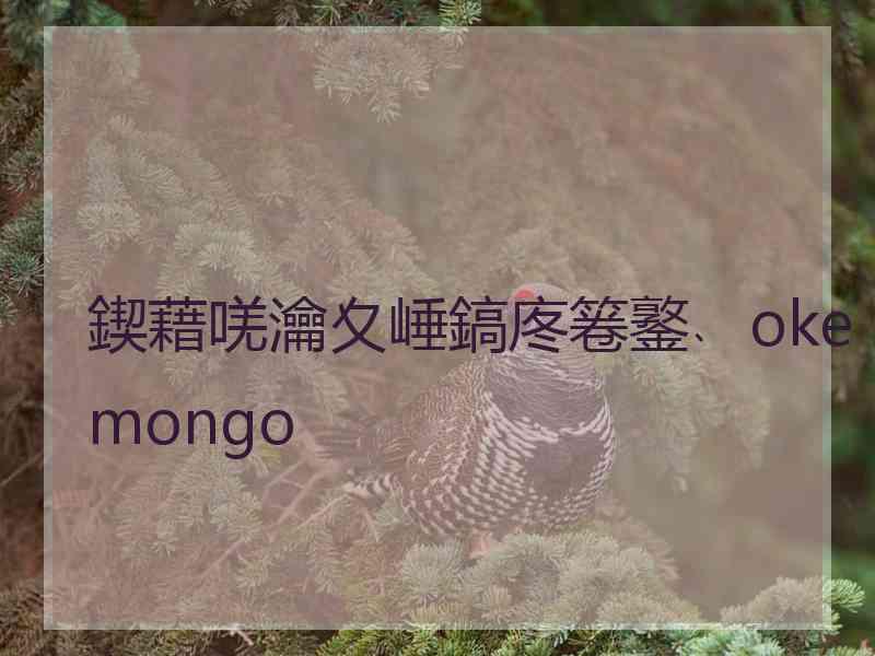 鍥藉唴瀹夊崜鎬庝箞鐜﹑okemongo