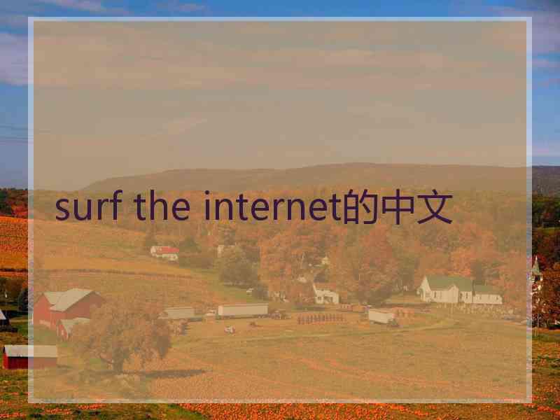 surf the internet的中文