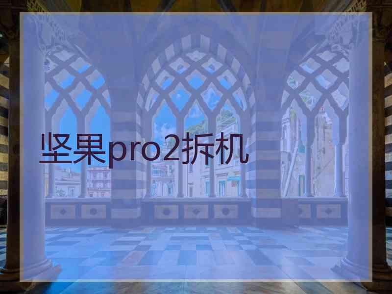 坚果pro2拆机