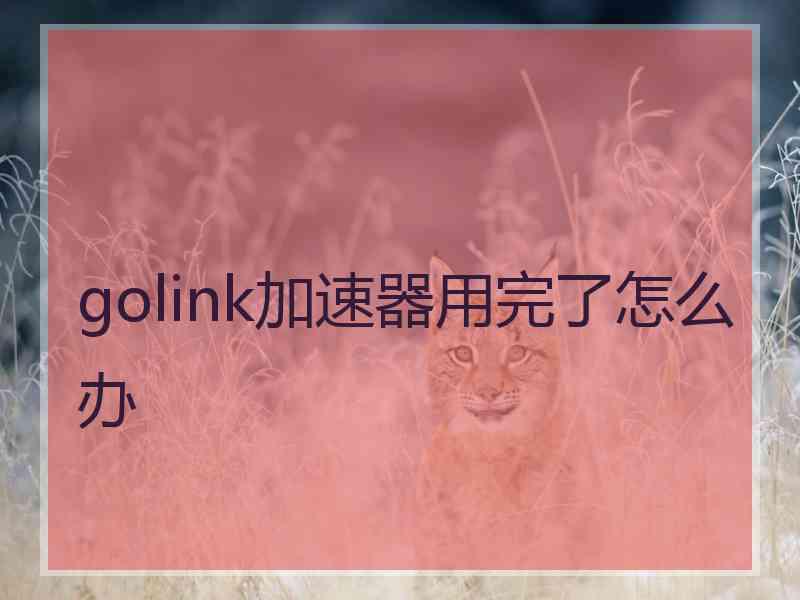 golink加速器用完了怎么办